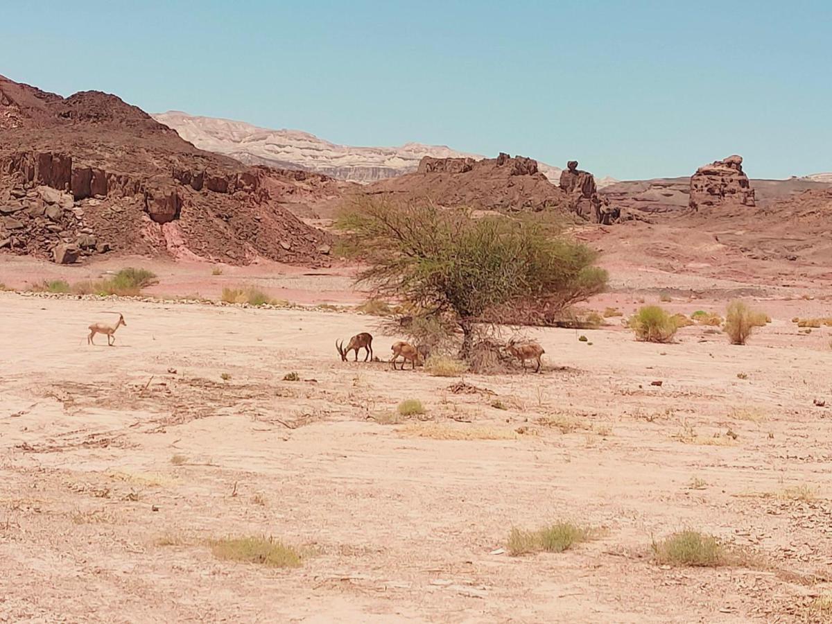 באר אורה Desert Path מראה חיצוני תמונה